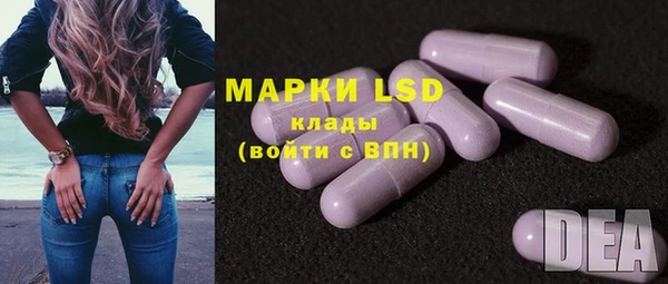 амф Верея