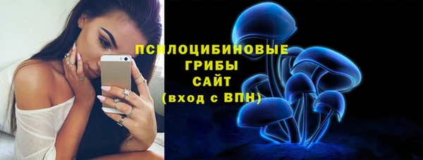 первитин Горняк