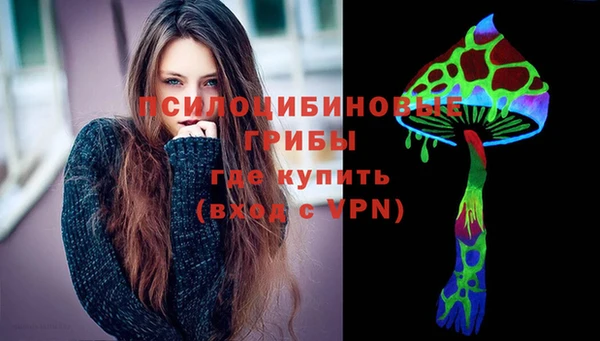 альфа пвп Горнозаводск