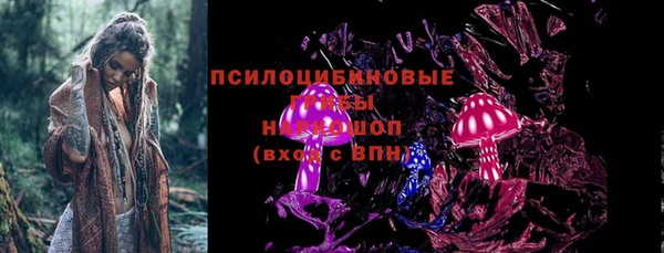крисы Вязьма